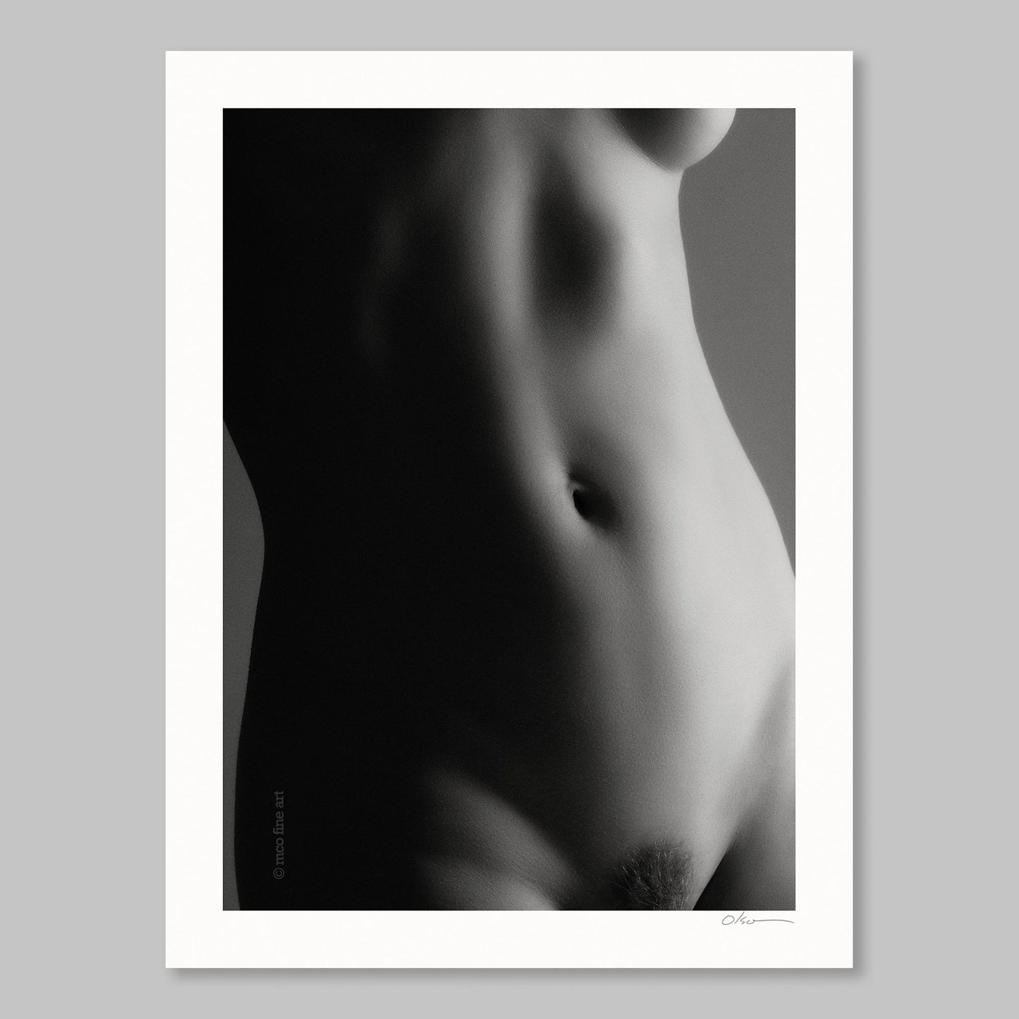 Contour Intime