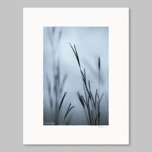 23ST041 Prairie Grass, September