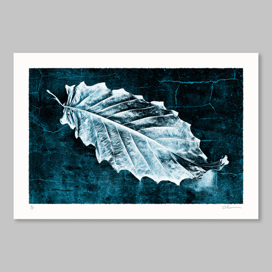 Leaf 4317 in Blue