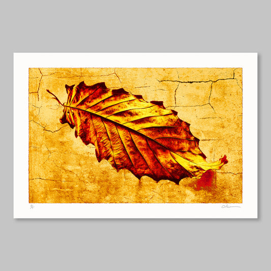 Leaf 4317 in Red & Yellow