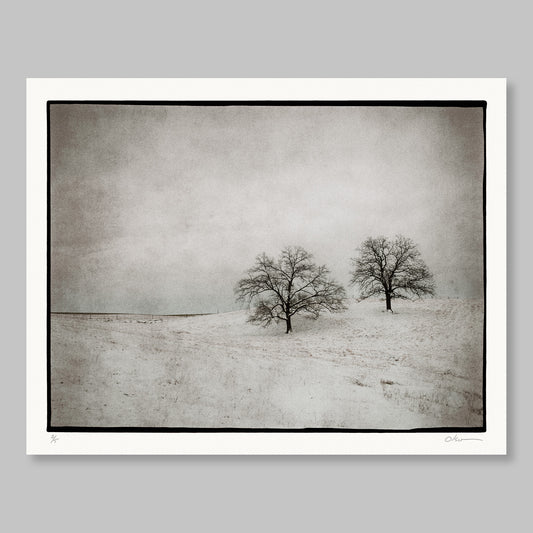 November, First Snow