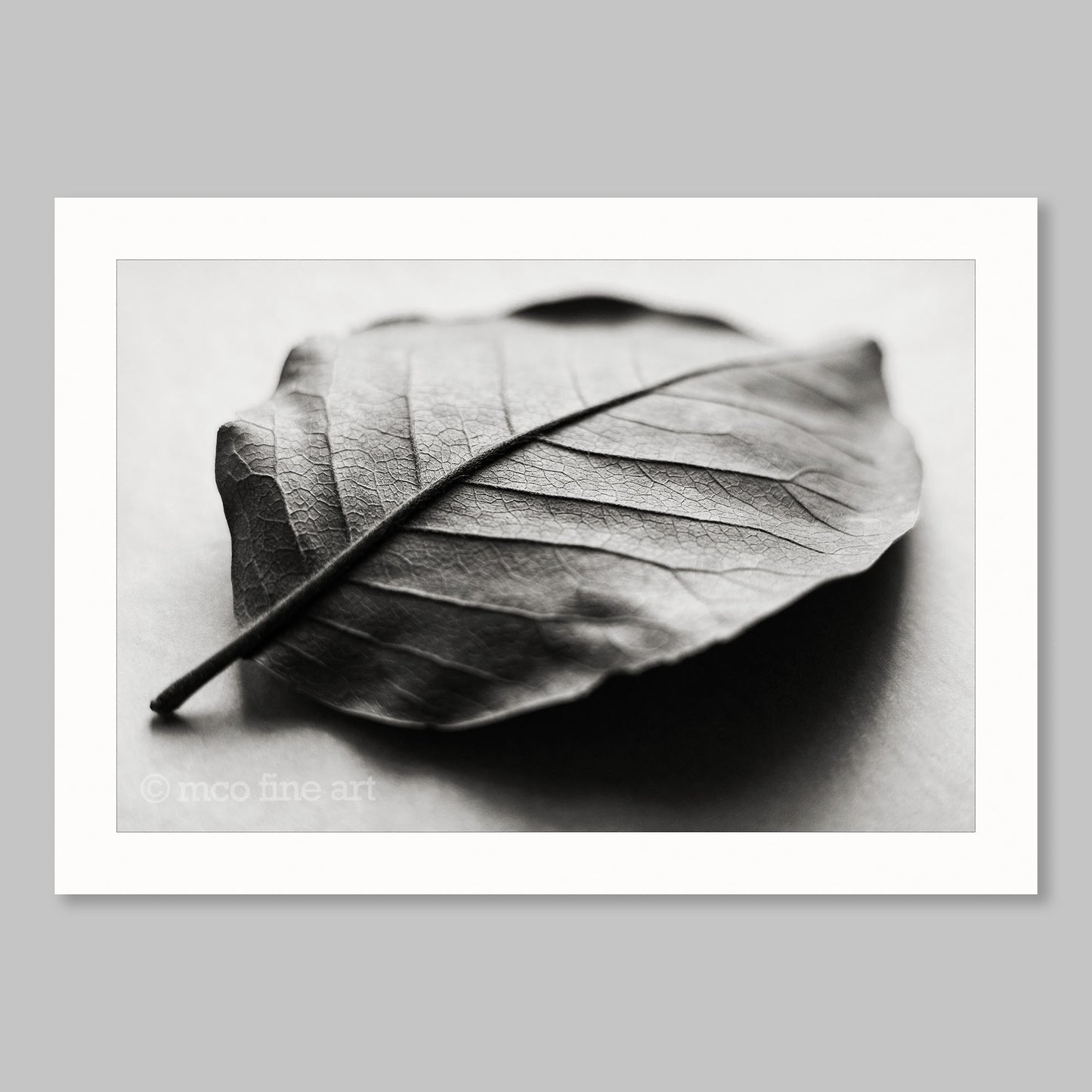 Correspondances