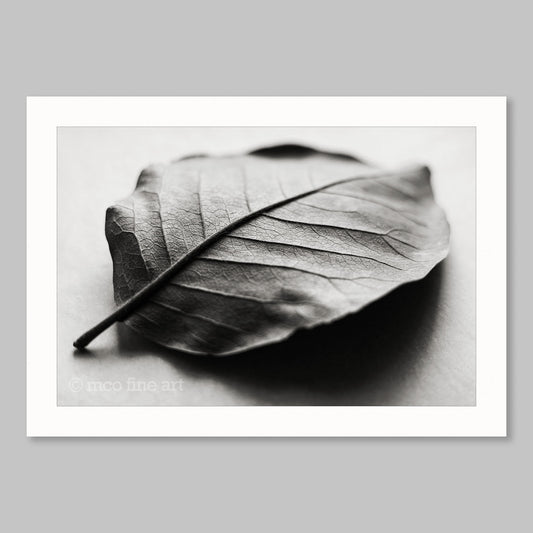 Correspondances