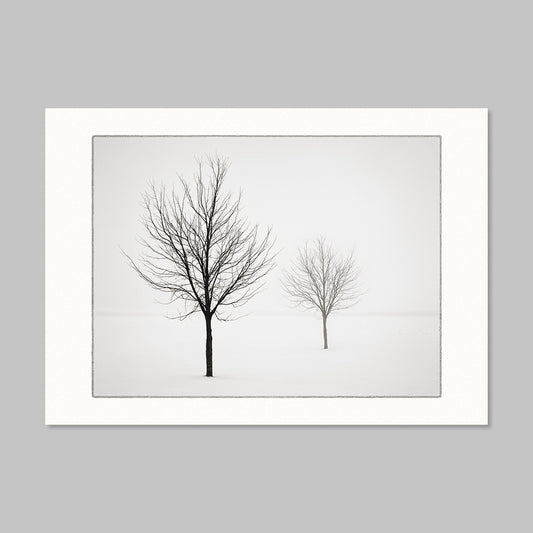 Art Card - Two Trees in Snow
