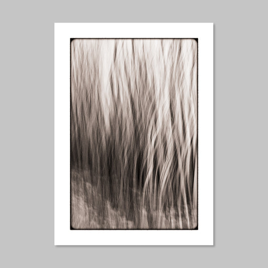 Art Card - On ne sait pourquoi