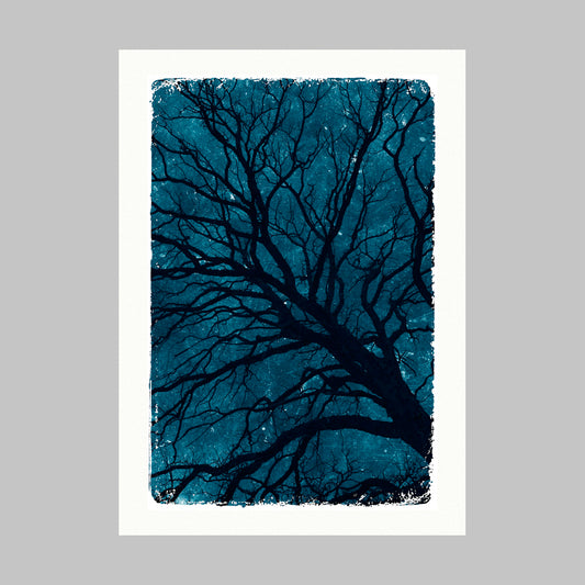 A vertical art print featuring a black tree branch pattern on a textured dark teal background, presented with a wide white border against a neutral gray backdrop.