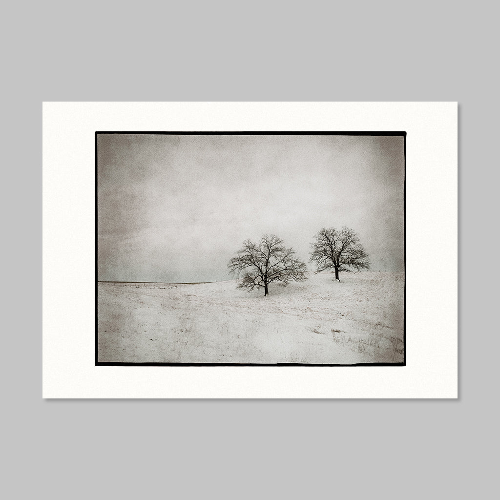 Art Card - November First Snow