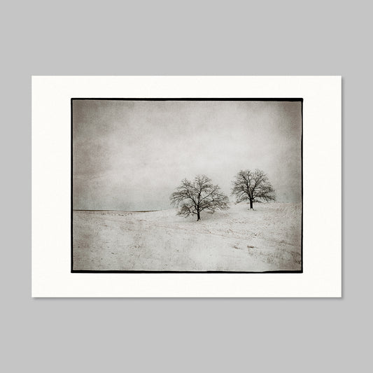 Art Card - November First Snow