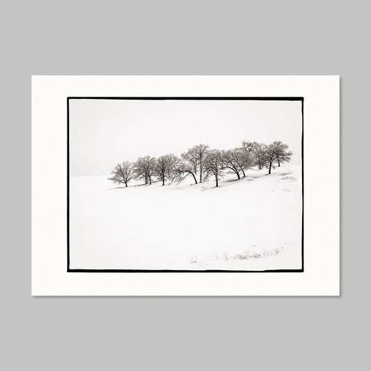 Art Card - Oak Grove February Morning