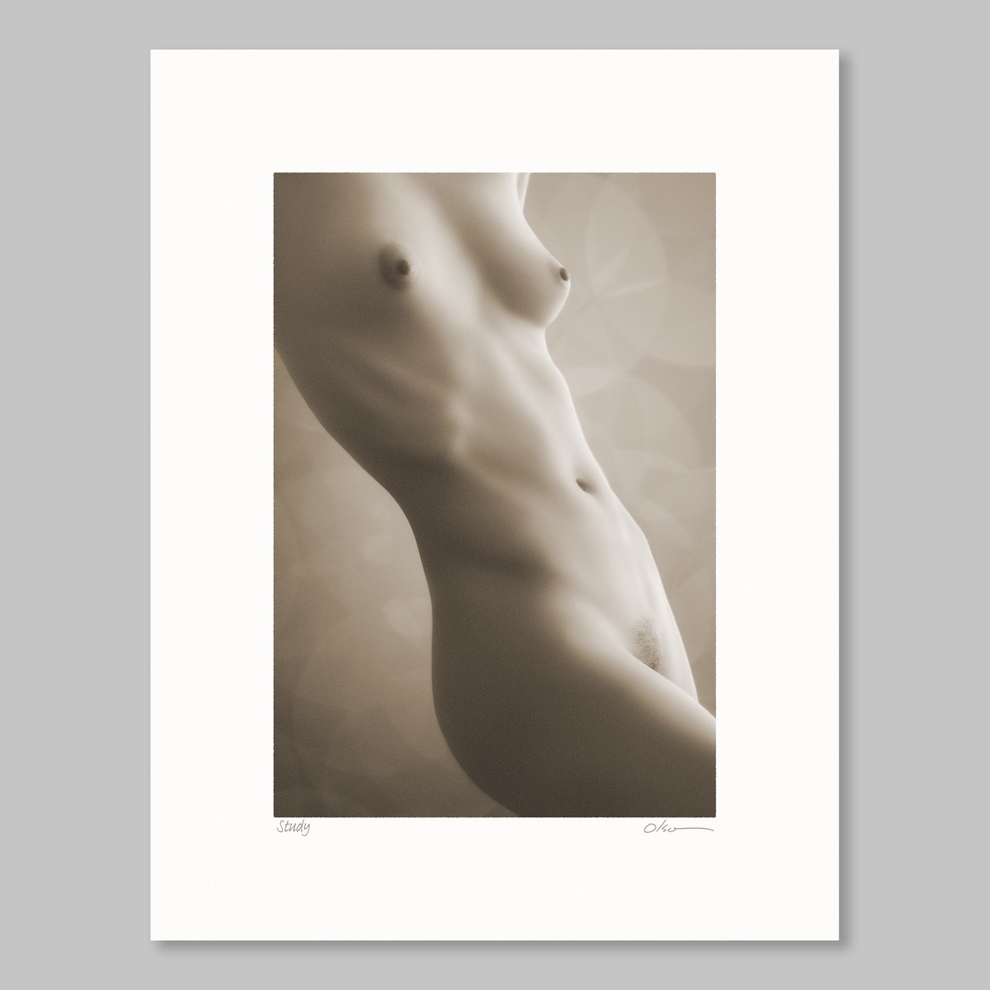 Study 23ST020 - Nude female torso figure study in sepia.