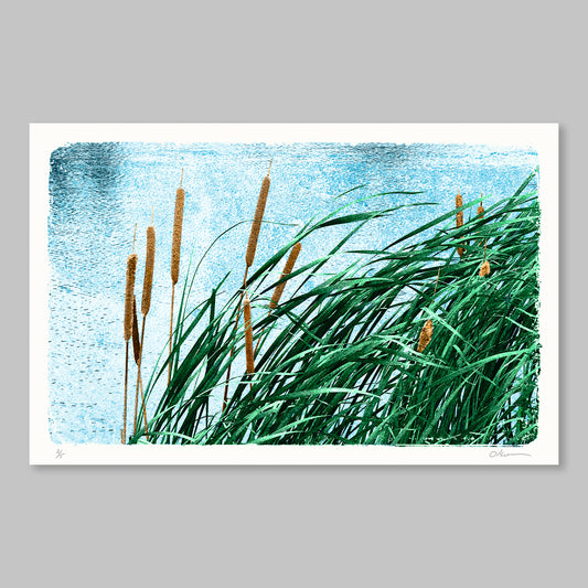 Cattails